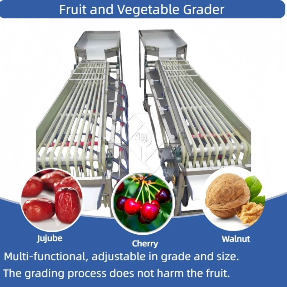 کمرشل خودکار چھانٹنے والی گریڈنگ مشین چیری ٹماٹر لہسن چھانٹنے والی گریڈنگ مشین فروٹ کی درجہ بندی کرنے والی مشین